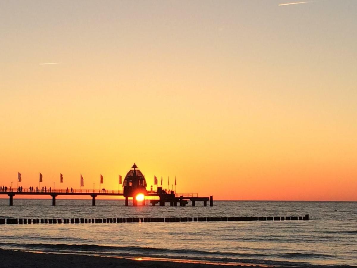 Ferienwohnung Kranichblick Zingst Ngoại thất bức ảnh
